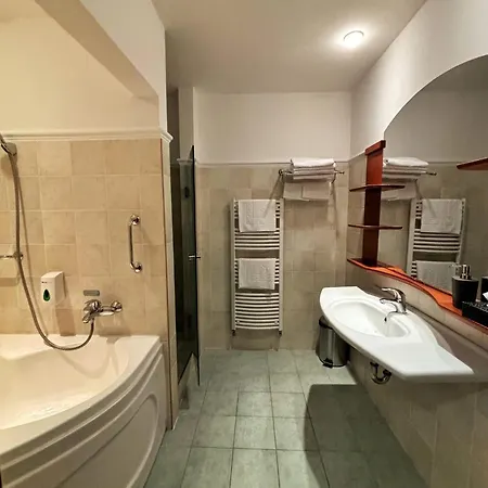 Apartment Toth Wellness *