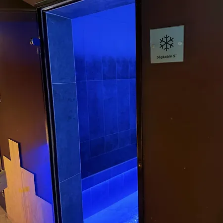 Toth Wellness Apartment Zalakaros
